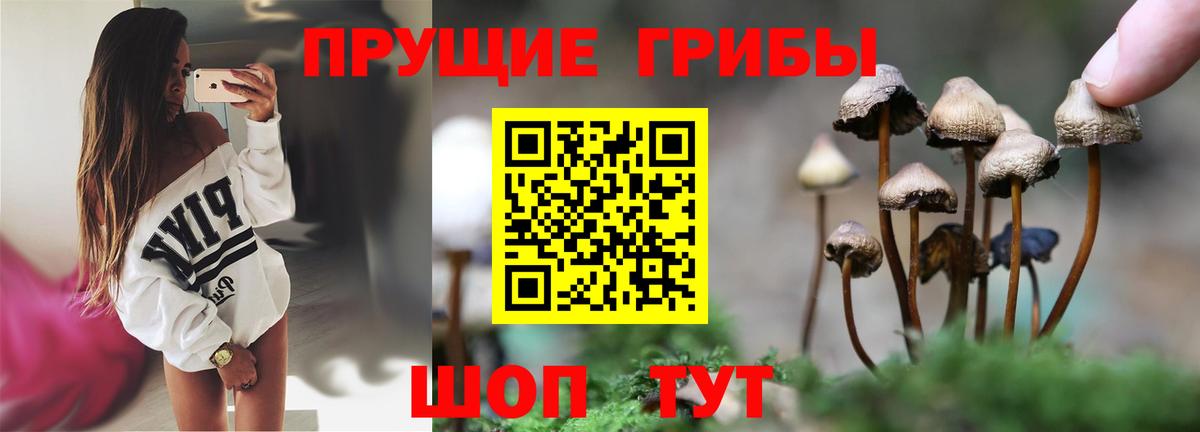 Псилоцибиновые грибы мухоморы Качканар