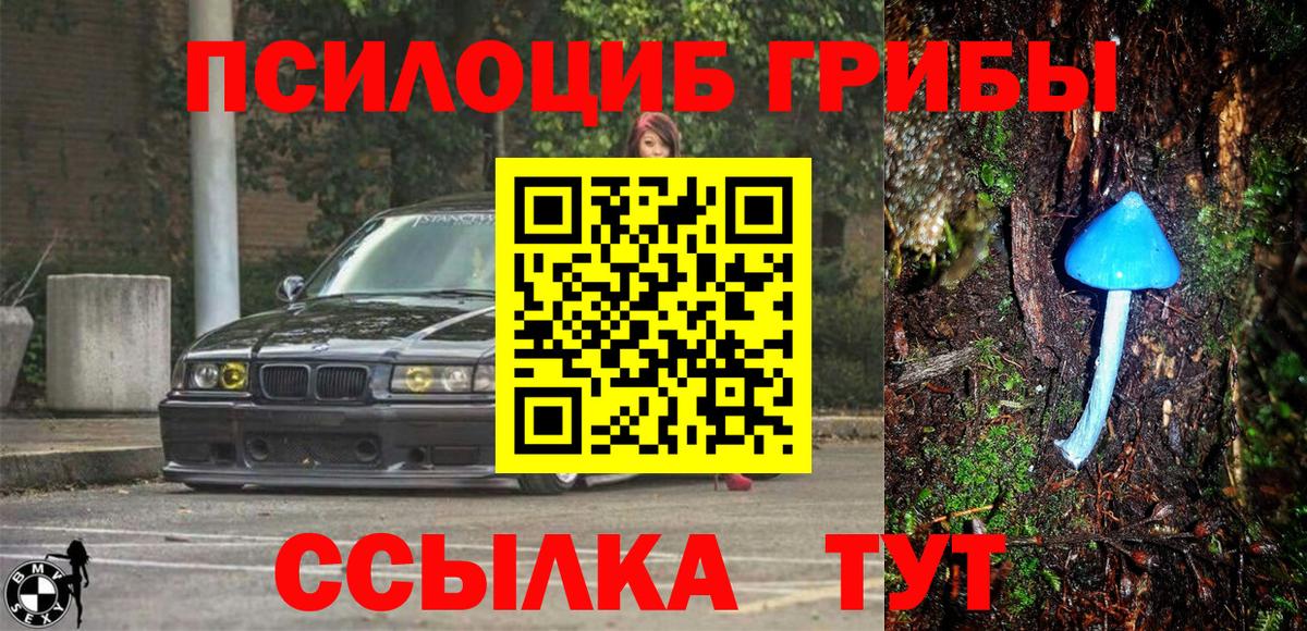 Качканар  Галлюциногенные грибы мухоморы  Вход с VPN 